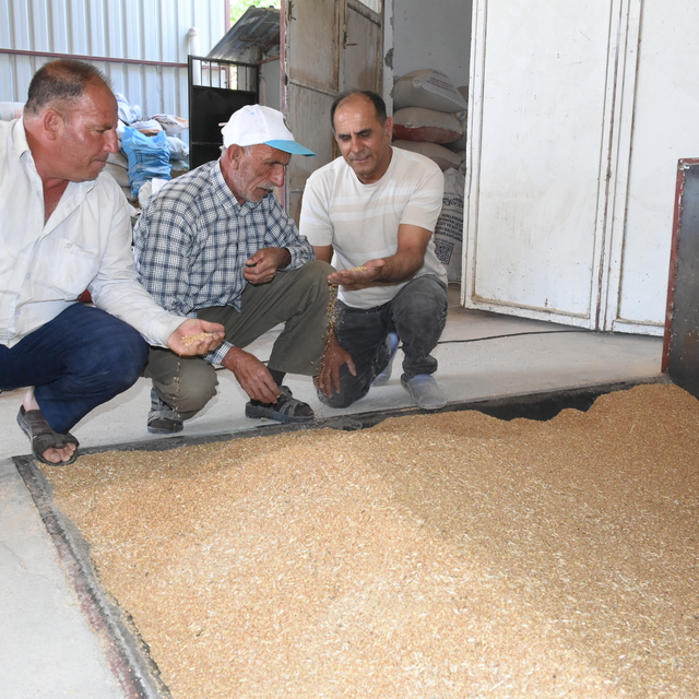 Ata yadigarı değirmenciliği beş kuşaktır sürdürüyorlar