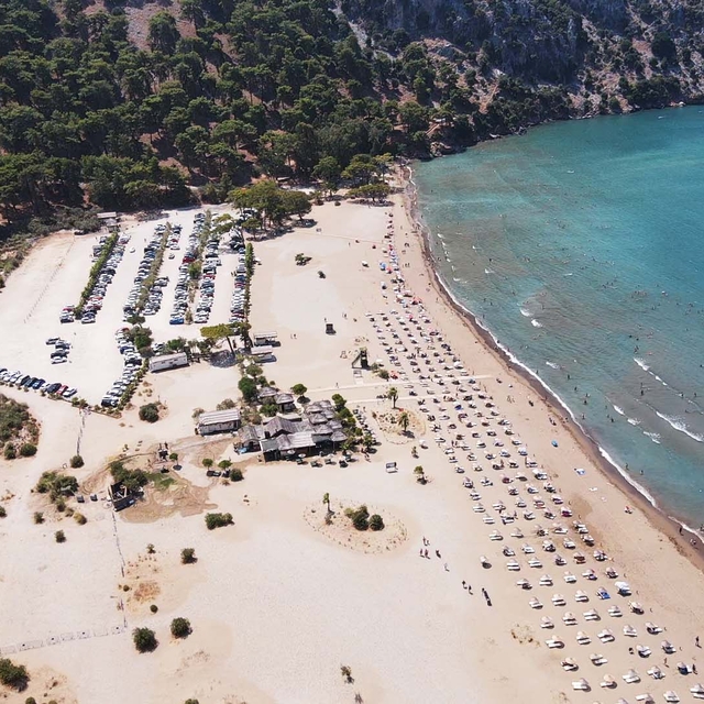 Uydu cihazıyla izlenen caretta caretta "Tuba" ikinci dünya turuna hazırlanı...