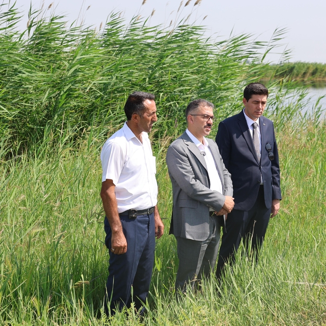 Ağrı Dağı'nın eteklerindeki sulak alanlar turizme kazandırılıyor