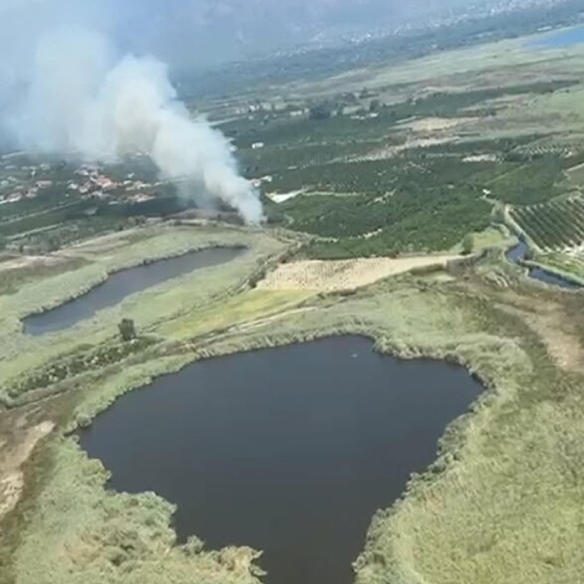 Köyceğiz Gölü yakınlarındaki sazlık yangınında 1 hektar alan zarar gördü
