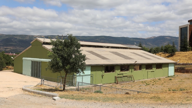 Galeri