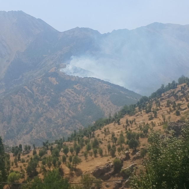 Şırnak'ta ormanda örtü yangını