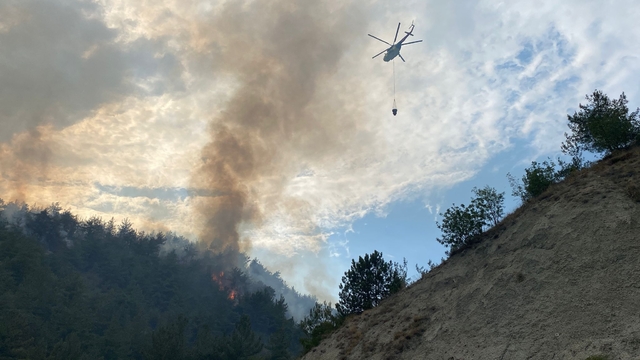 Karabük'te orman yangını