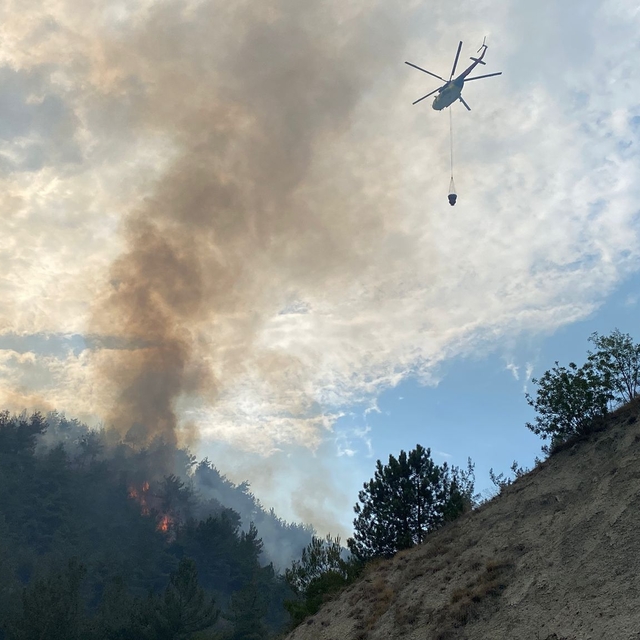 Karabük'te orman yangını