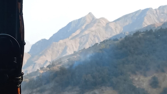 Şırnak'ta ormanda örtü yangını (2)