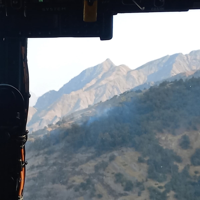 Şırnak'ta ormanda örtü yangını (2)