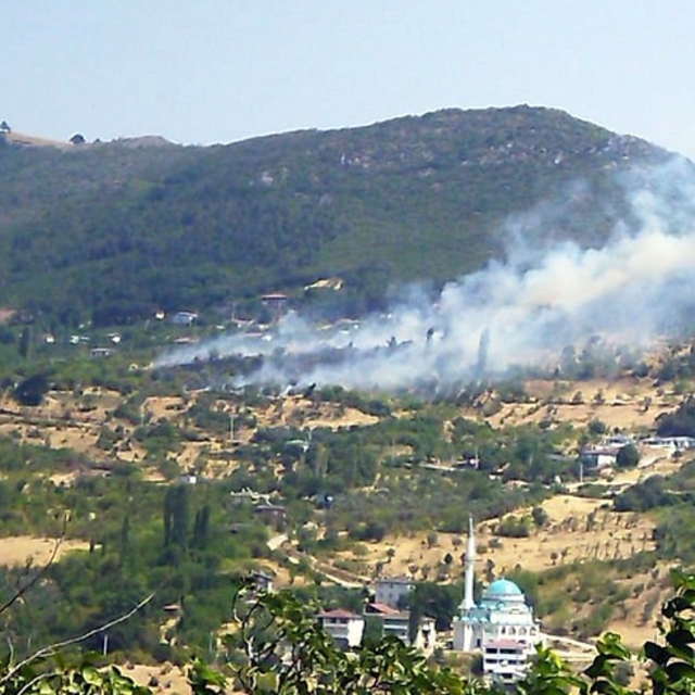 Geyve'deki ot yangını ormana sıçramadan söndürüldü