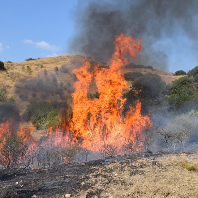 Manisa'da tarım arazisinden makilik alana sıçrayan yangın kontrol altına al...