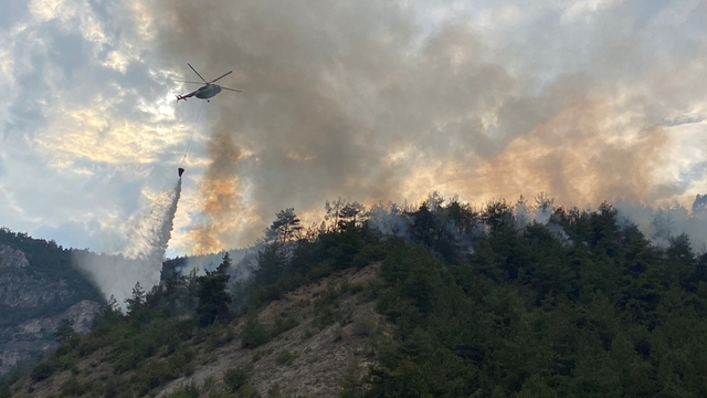 Karabük'te orman yangını (2)