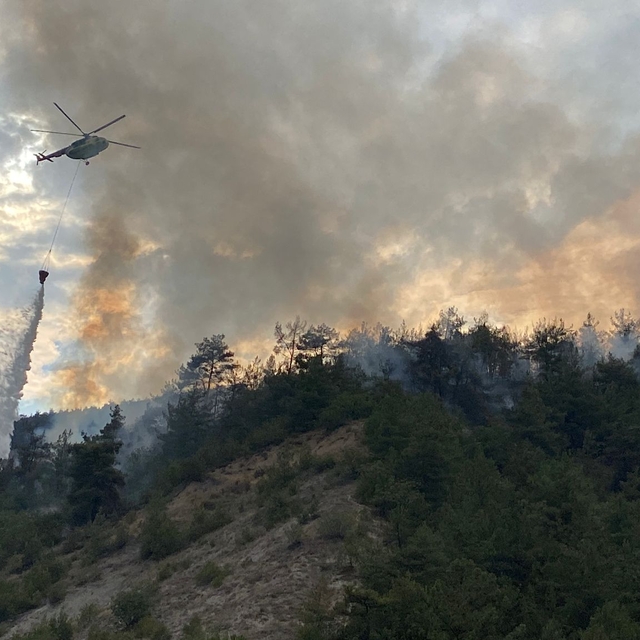 Karabük'te orman yangını (2)