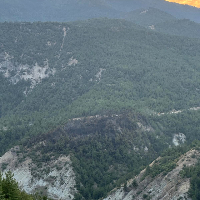 GÜNCELLEME 2 - Karabük'te çıkan orman yangını büyük oranda kontrol altına a...