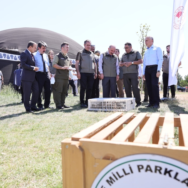 Çorum'da 300 keklik doğaya bırakıldı