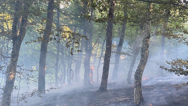 Kırklareli'nde çıkan orman yangını söndürüldü