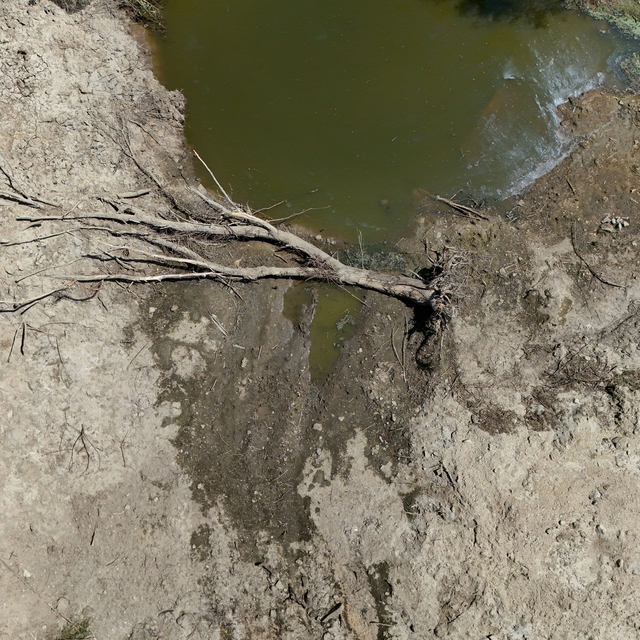 Kırklareli'nde aşırı sıcaklar Teke Deresi'ni susuz bıraktı