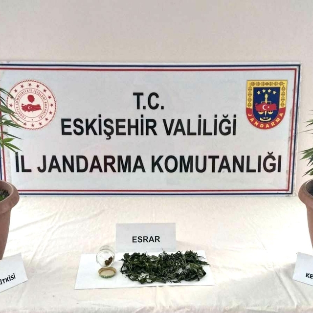 Eskişehir'de evinin balkonunda Hint keneviri yetiştirdiği iddia edilen şüph...
