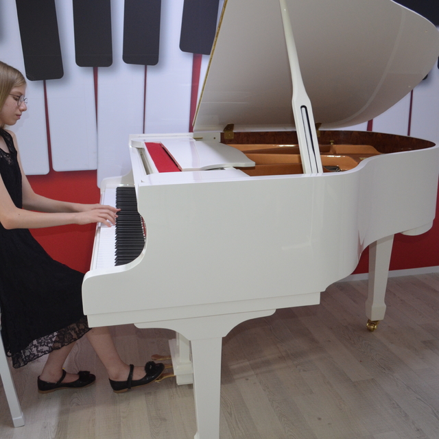 "Mutlak kulak" Aylin, Türkiye'nin kültürünü ve müzikal zenginliğini dünyaya...