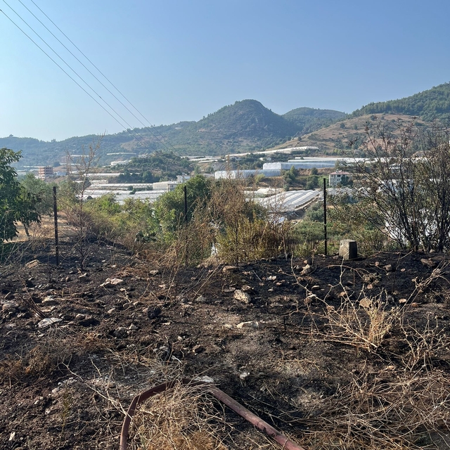 Alanya'da otluk ve çalılık alanda çıkan yangın söndürüldü