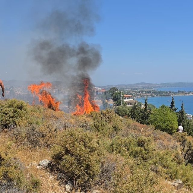 Datça'da makilik alanda çıkan yangın söndürüldü
