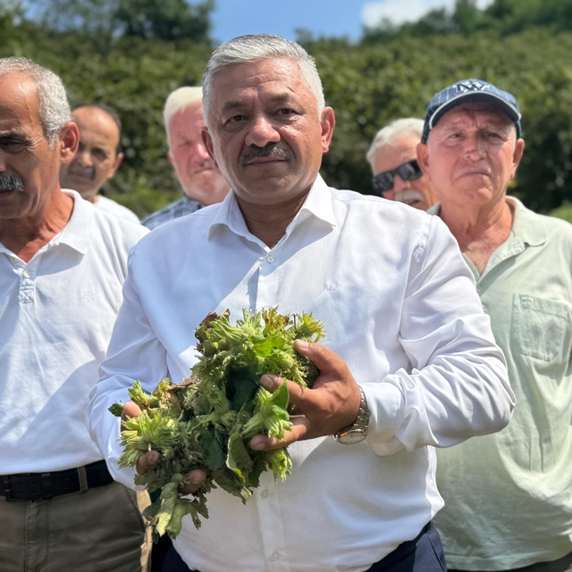 TZOB Üyesi Soydan:  Fındığı tabanın üzerinde fiyat oluşması için kontrollü...