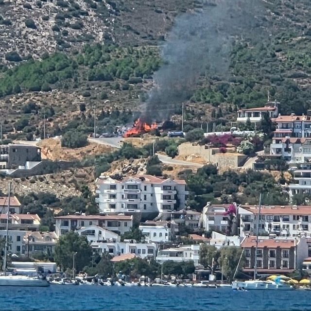 Muğla'da maki yangınında 1,5 dönüm alan zarar gördü