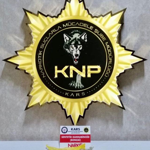 Kars'ta uyuşturucu operasyonunda yakalanan 2 zanlı tutuklandı