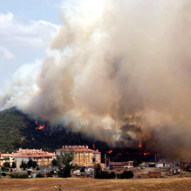 Edirne'de makilikte çıkan yangın, tarlaya sıçradı