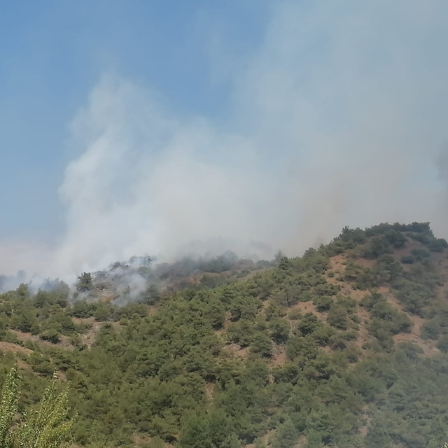 Tokat'ta çıkan orman yangınına müdahale ediliyor