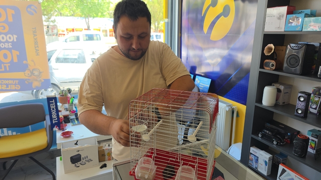 Aksaray'da esnaf bitkin düşen yarasaya esnaf sahip çıktı