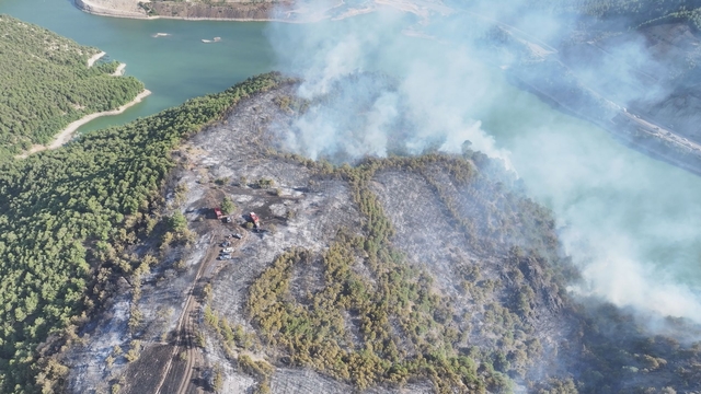 Tokat'ta orman yangını (2)