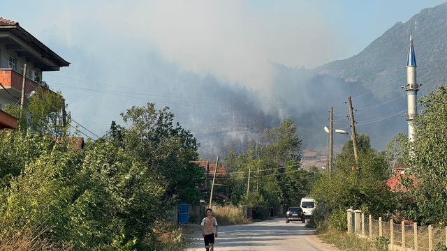 Bartın'da ormanlık alanda çıkan yangına müdahale ediliyor