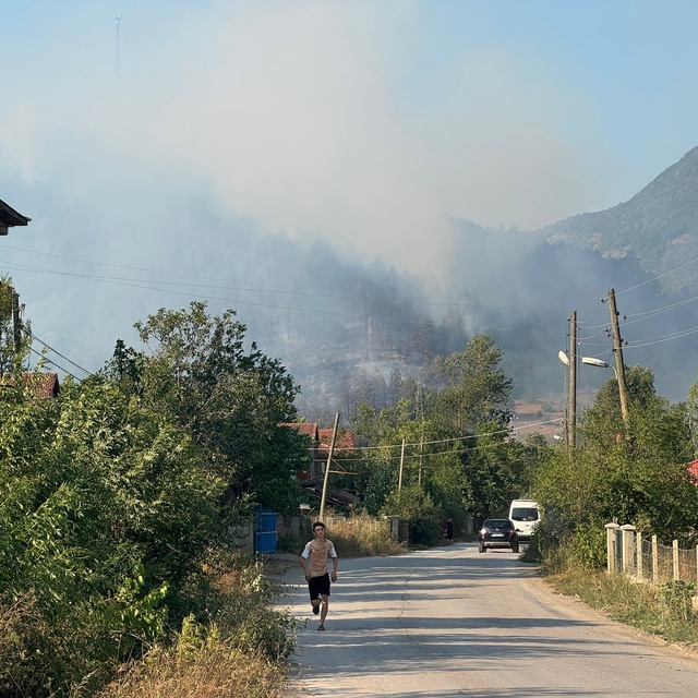 Bartın'da ormanlık alanda çıkan yangına müdahale ediliyor
