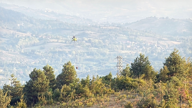 Bartın'da orman yangını (2)