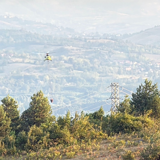 Bartın'da orman yangını (2)