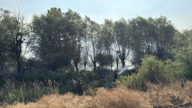 Karabük'te çıkan anız yangını söndürüldü
