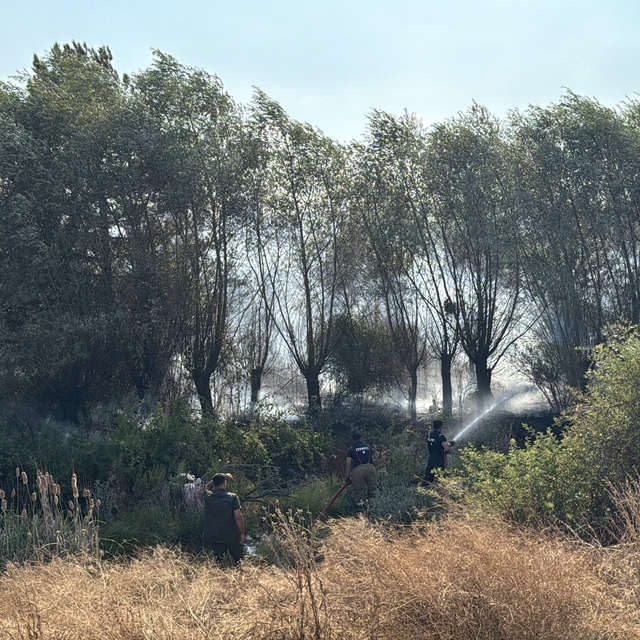 Karabük'te çıkan anız yangını söndürüldü