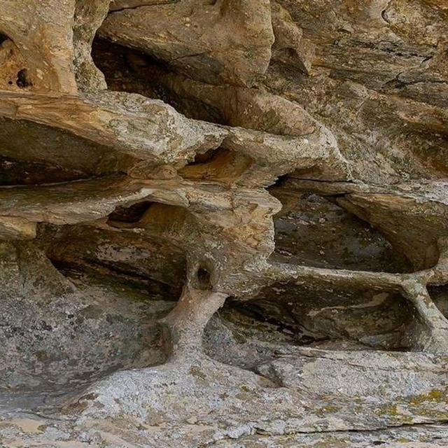 Aydın'da 8 bin yıllık kaya resimlerinin bulunduğu bölge sit alanı ilan edil...