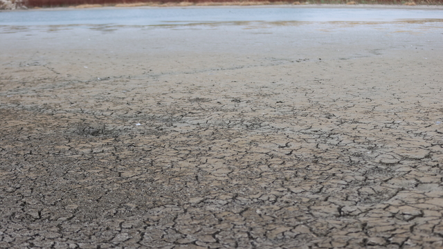 Kırklareli'nin Oruçlu Göleti kuraklık nedeniyle kuruma noktasına geldi