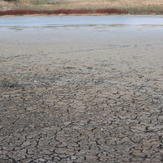 Kırklareli'nin Oruçlu Göleti kuraklık nedeniyle kuruma noktasına geldi