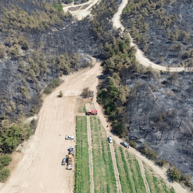 "Alev savaşçıları" Bilecik'teki orman yangınında adeta canlarını dişlerine...