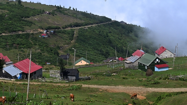 Galeri