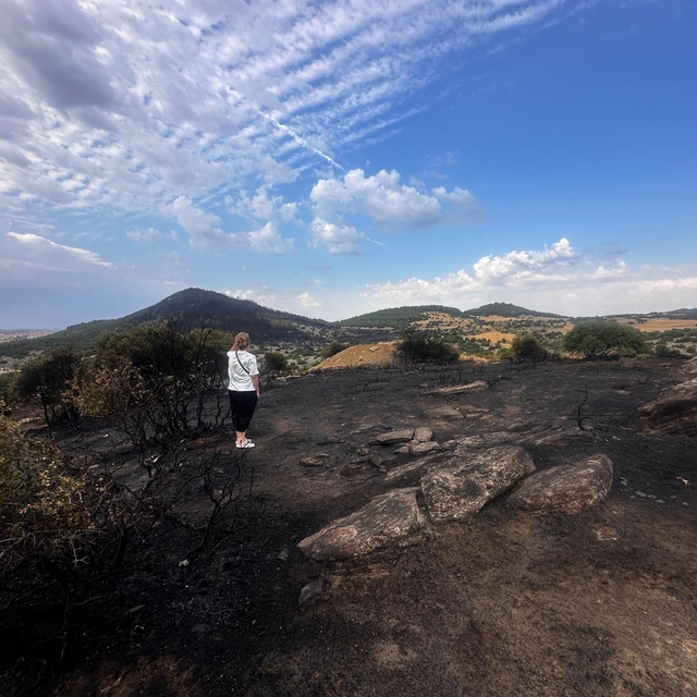 TEMA Vakfı yetkilileri Keşan'daki yangın bölgesinde incelemede bulundu