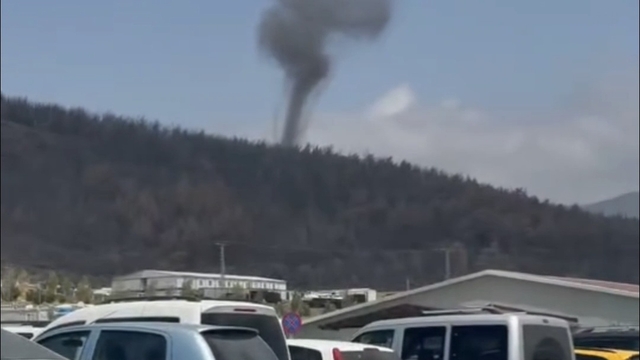 Hatay'da geçen ay yanan ormanda hortum çıktı
