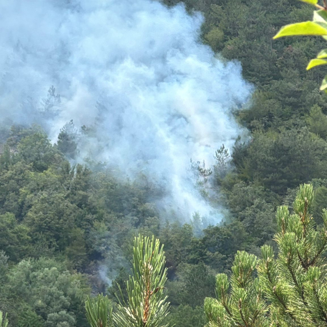 Bolu'da ormanlık alanda çıkan yangına müdahale ediliyor