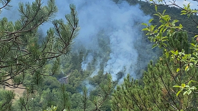Bolu'da orman yangını 1,5 saatte kontrol altına alındı