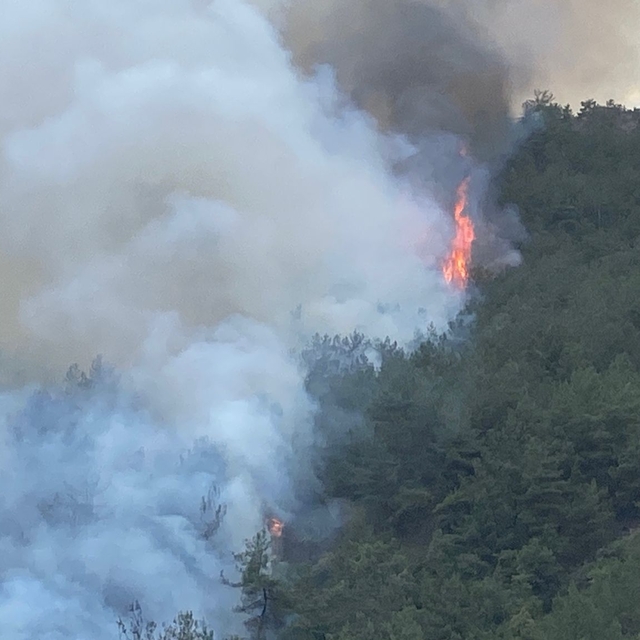 Karabük'te orman yangını