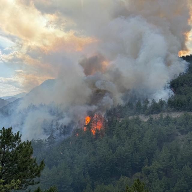 Karabük'te ormanlık alanda yeniden yangın çıktı