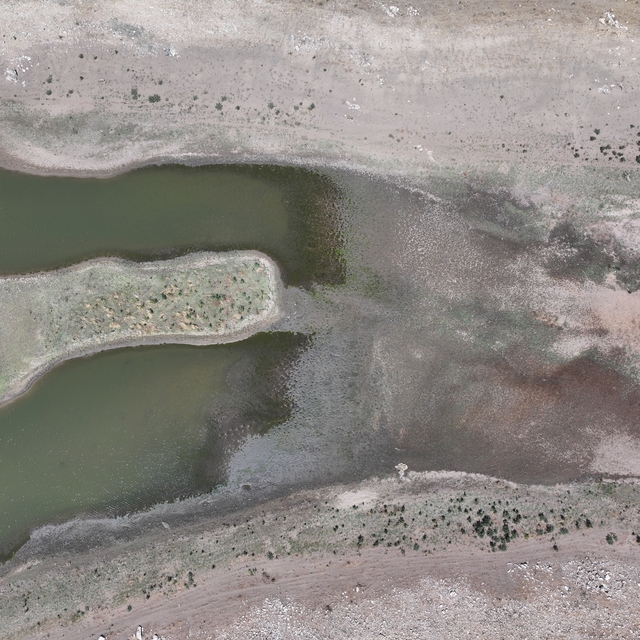 Edirne'de kuraklık nedeniyle göletteki su seviyesi azalınca ürünler kurudu