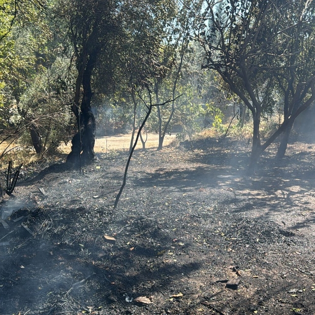 Balıkesir'de çıkan örtü yangını söndürüldü