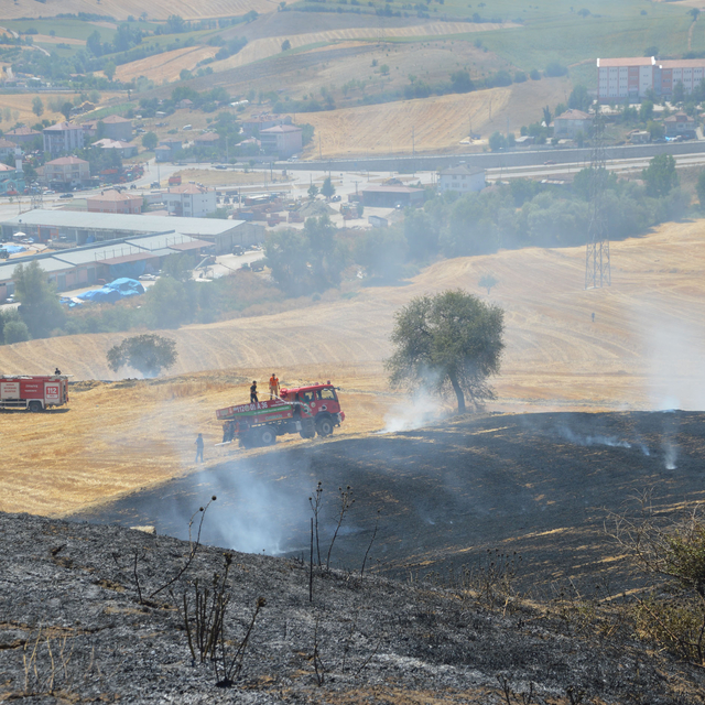 Samsun'da anız yangınında 10 dekar tarım arazisi zarar gördü