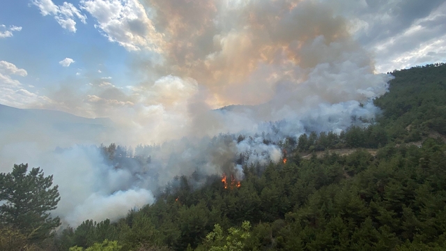 Karabük'te orman yangını (2)